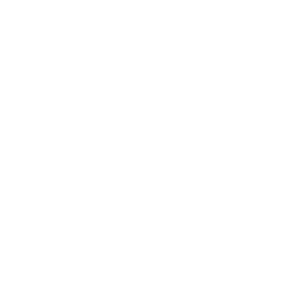 Logo complet blanc BDRG - Digital-Lisa | Lisa Bardet | Portfolio Concepteur Designer UI