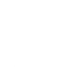 Logo BDRG blanc sans encadré - Digital-Lisa | Lisa Bardet | Portfolio Concepteur Designer UI