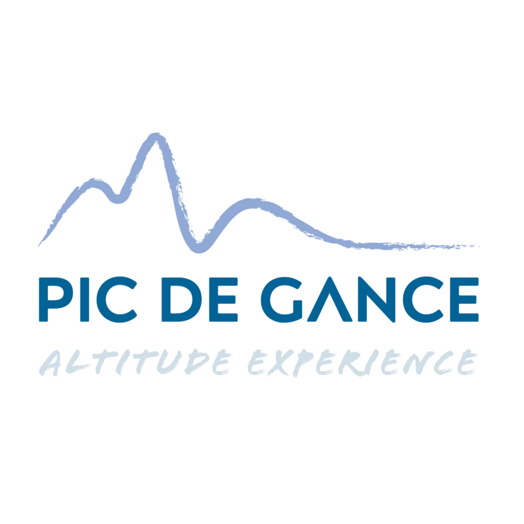 Logo Pic de Gance bleu version complète — Digital Lisa — Lisa Bardet — Portfolio — Conceptrice et designer UI