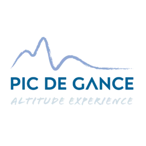 Logo Pic de Gance bleu version complète — Digital Lisa — Lisa Bardet — Portfolio — Conceptrice et designer UI
