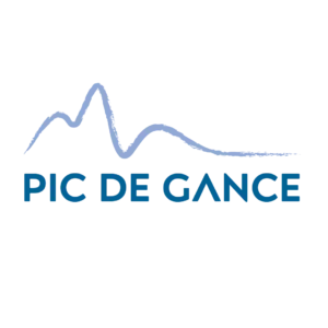Logo Pic de Gance bleu sans tagline — Digital Lisa — Lisa Bardet — Portfolio — Conceptrice et designer UI