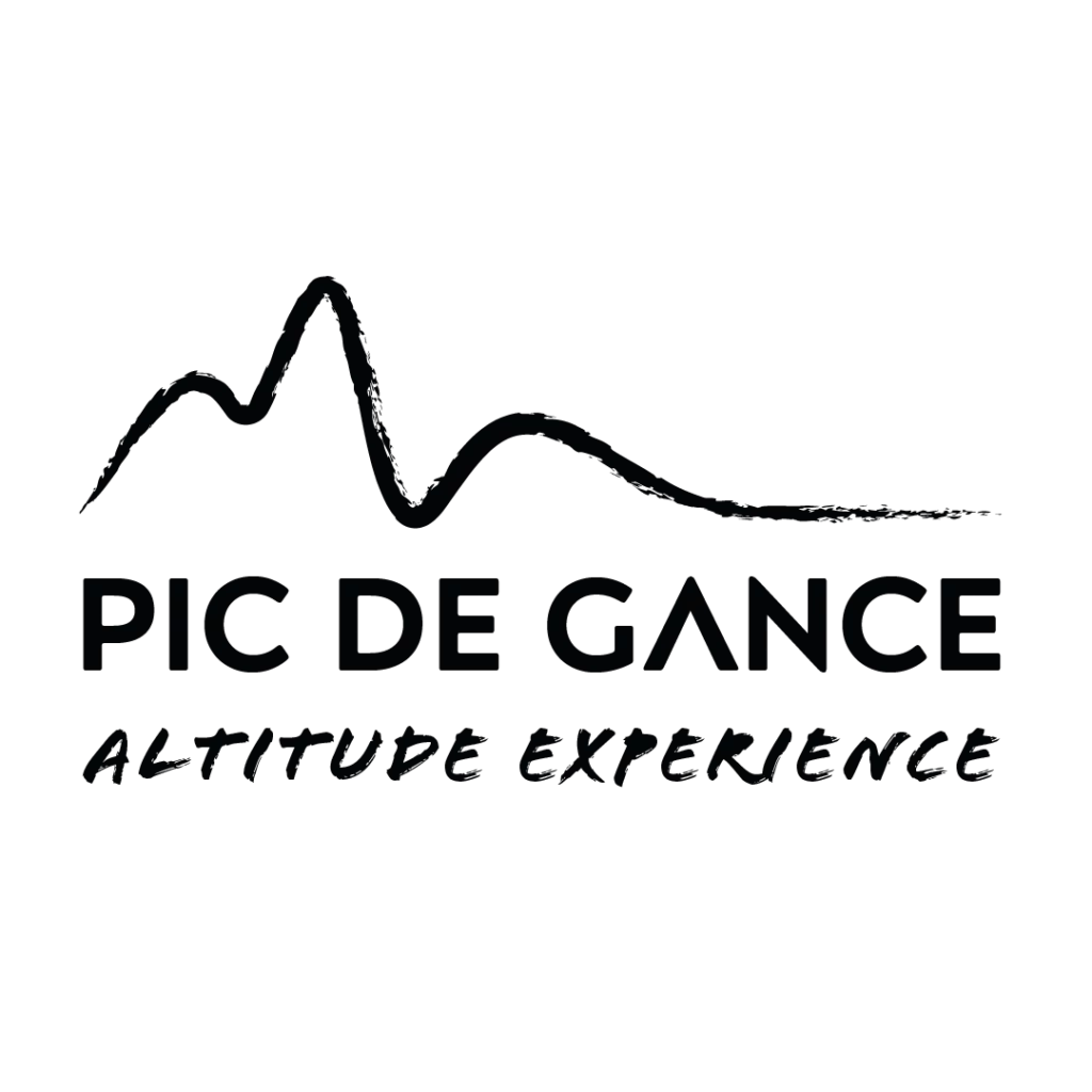 Logo Pic de Gance noir version complète — Digital Lisa — Lisa Bardet — Portfolio — Conceptrice et designer UI