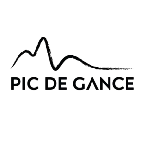 Logo Pic de Gance noir sans tagline — Digital Lisa — Lisa Bardet — Portfolio — Conceptrice et designer UI