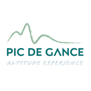 Logo Pic de Gance vert version complète — Digital Lisa — Lisa Bardet — Portfolio — Conceptrice et designer UI