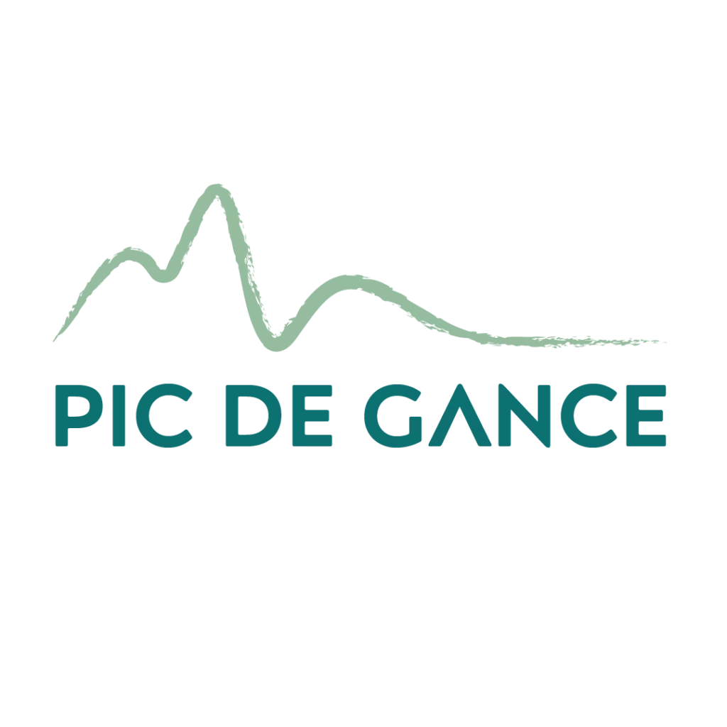 Logo Pic de Gance vert sans tagline — Digital Lisa — Lisa Bardet — Portfolio — Conceptrice et designer UI