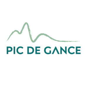 Logo Pic de Gance vert sans tagline — Digital Lisa — Lisa Bardet — Portfolio — Conceptrice et designer UI
